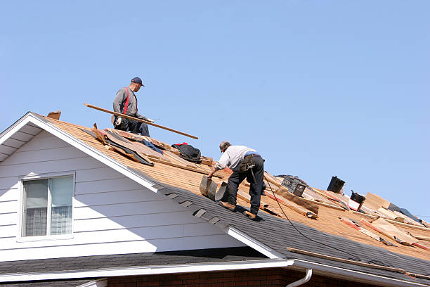 Best Roof Leak Repair  in Ocean Acres, NJ